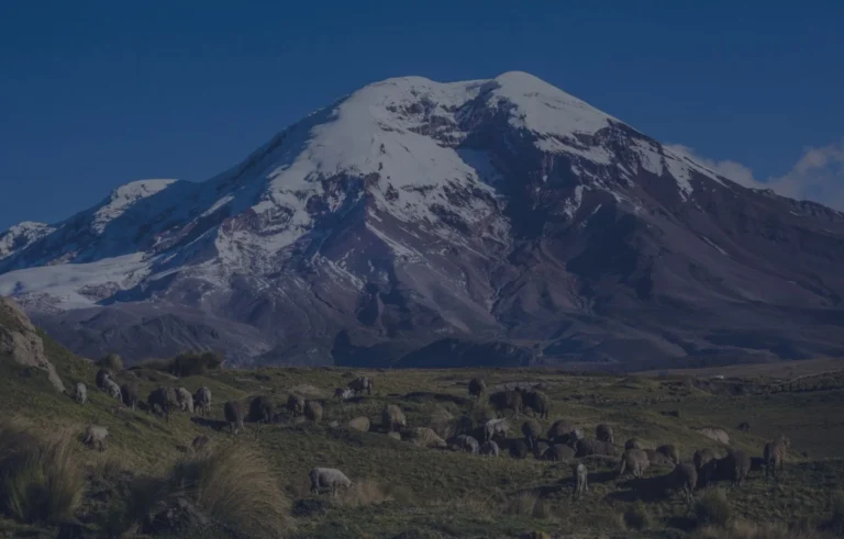 chimborazo en ecuador
