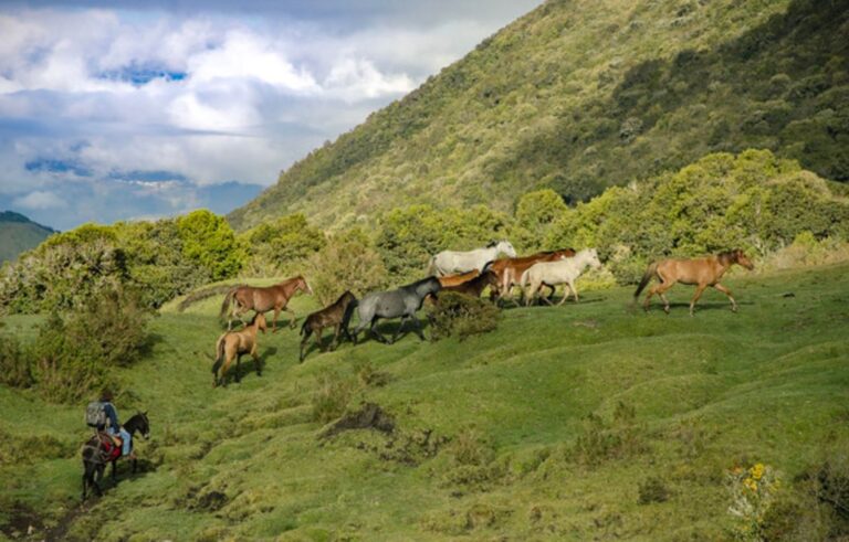 escape feriado de agosto ecuador